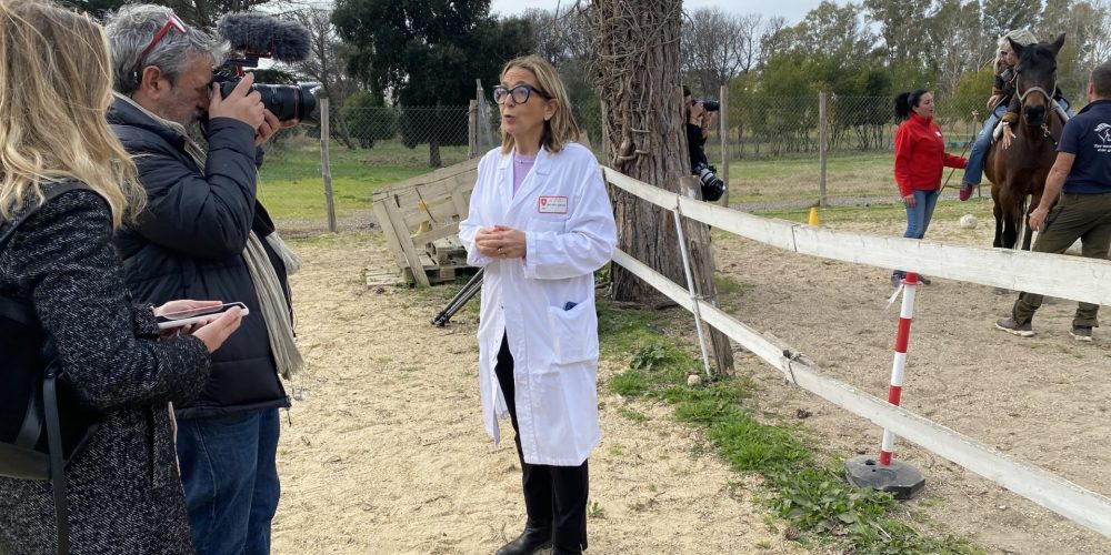 Cavalli terapia Ordine di Malta